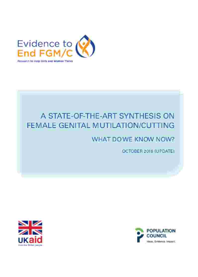 A State-of-the-Art Synthesis on FGM